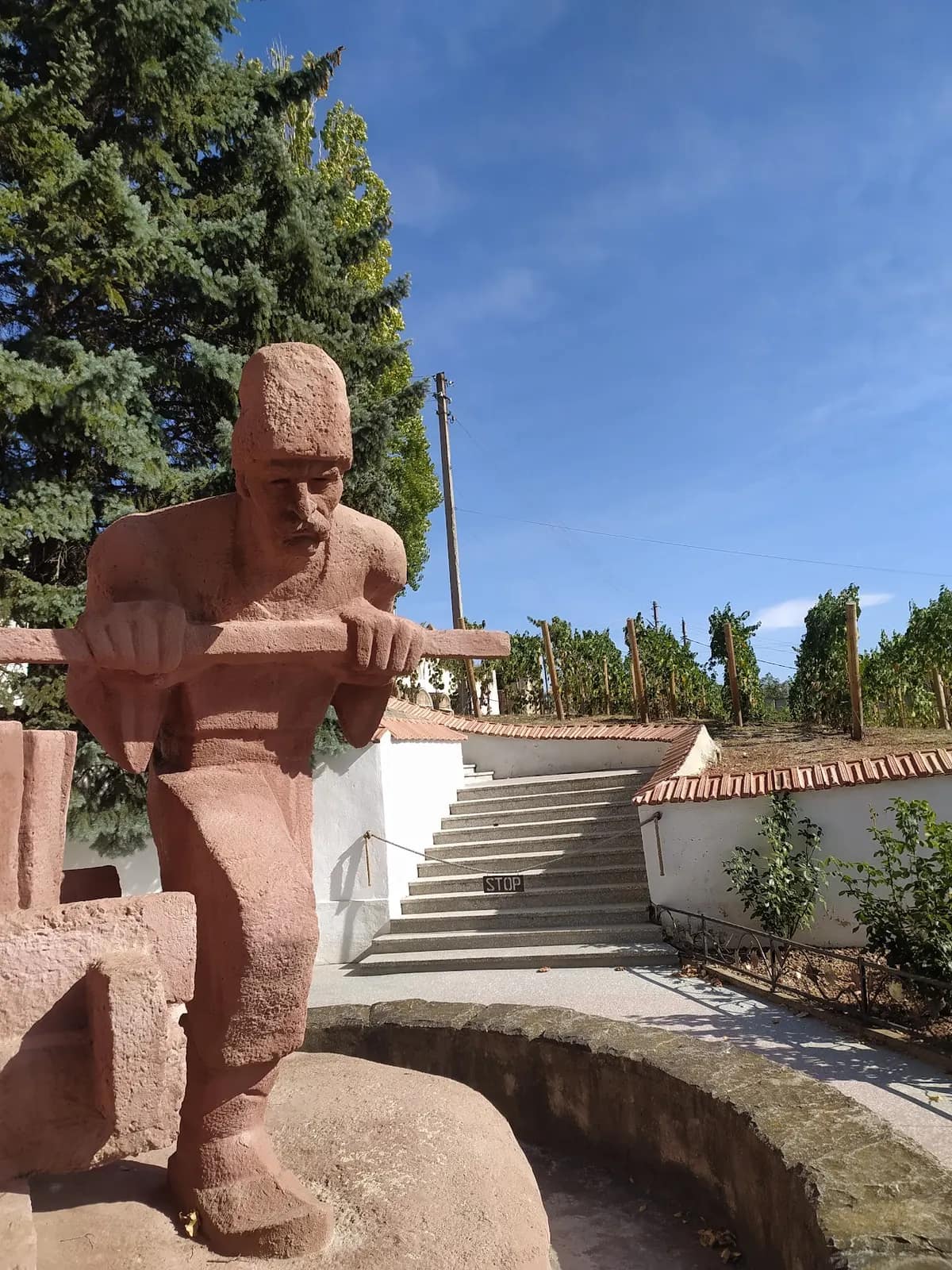 Carlevana Winery