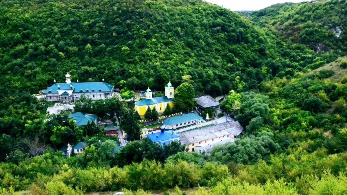Saharna