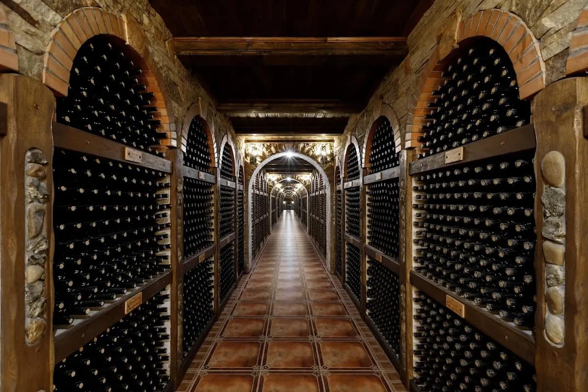 Chateau Cojusna. Migdal-P