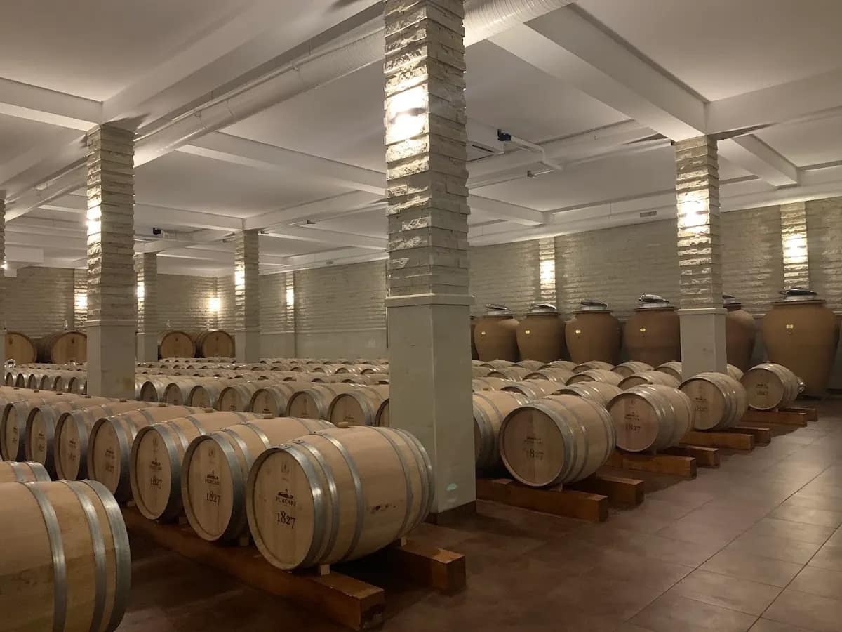 Château Purcari
