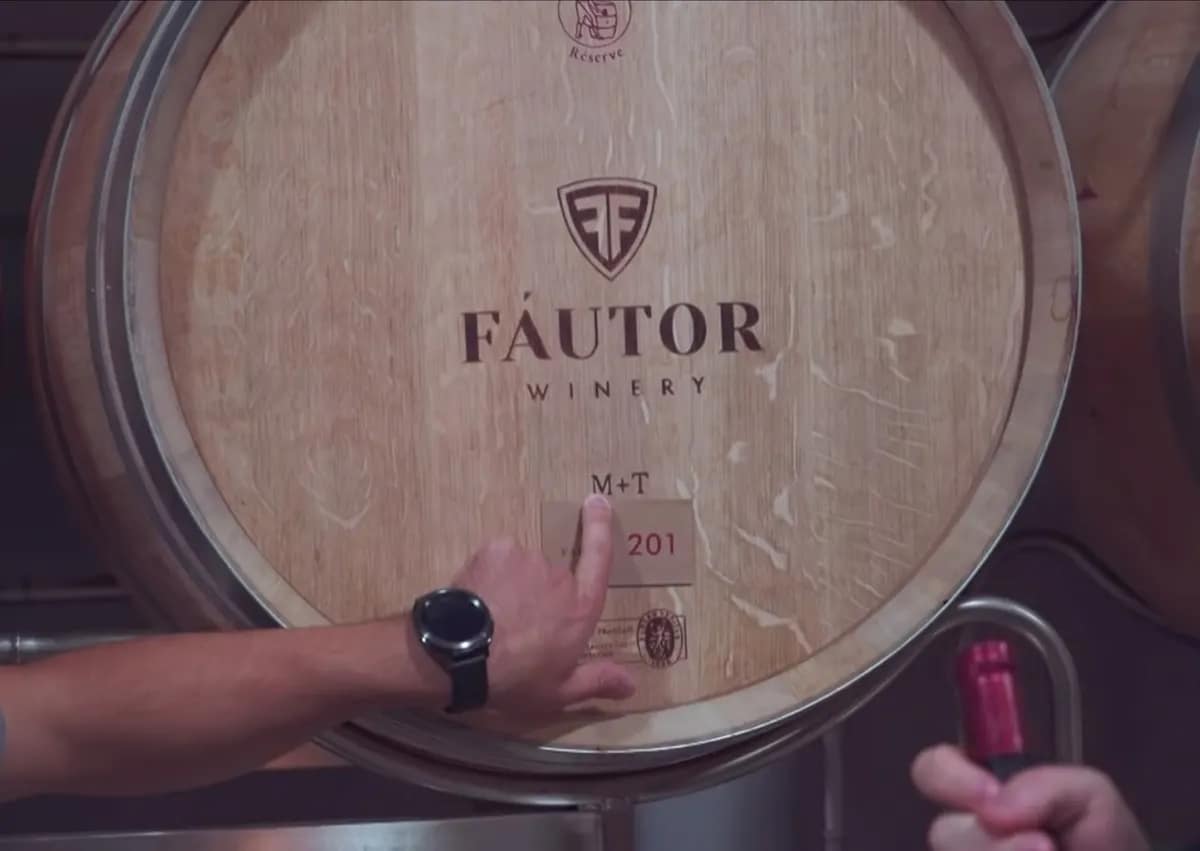 Fautor