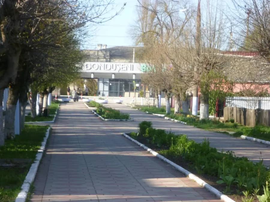 Raionul Dondușeni