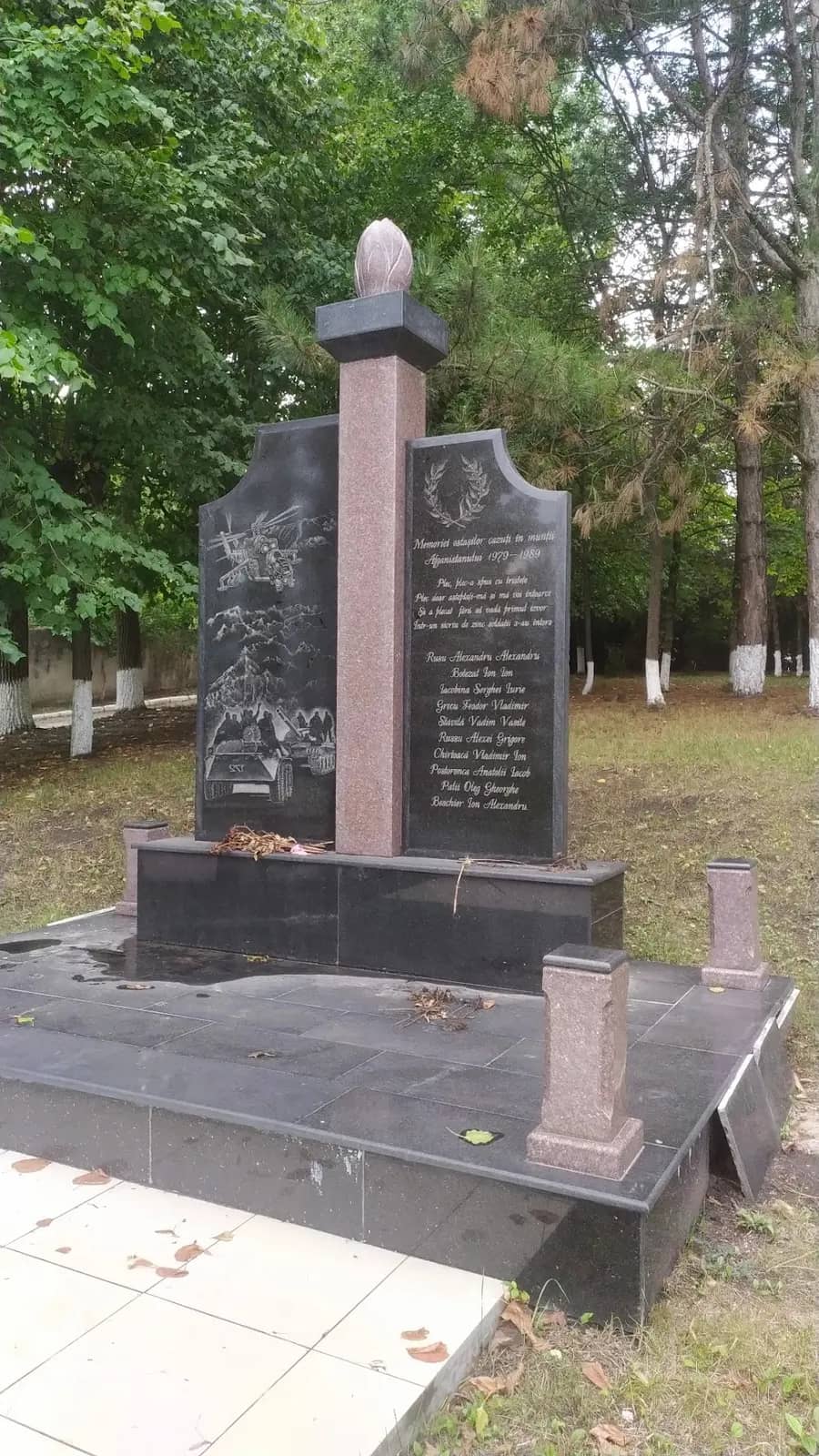 Raionul Șoldănești