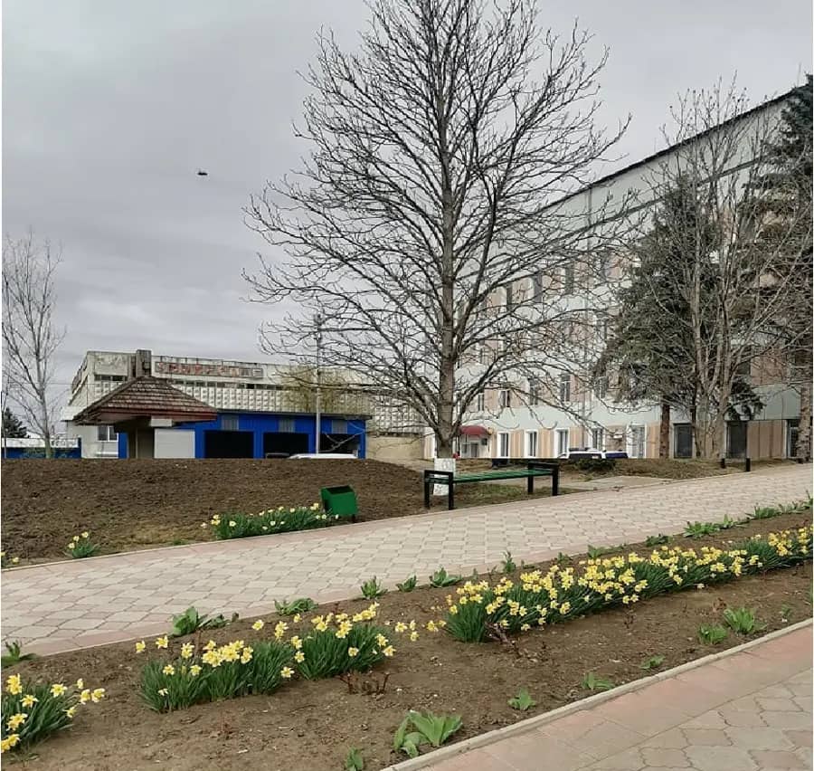 Raionul Telenești