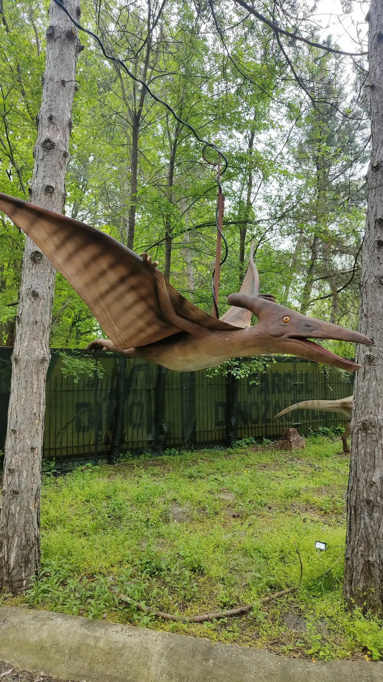 DinoPark — fotografie 2