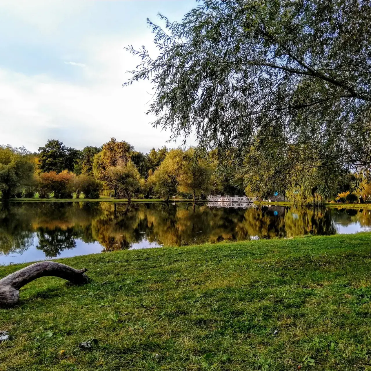 Grădina Botanică din Chișinău — fotografie 1