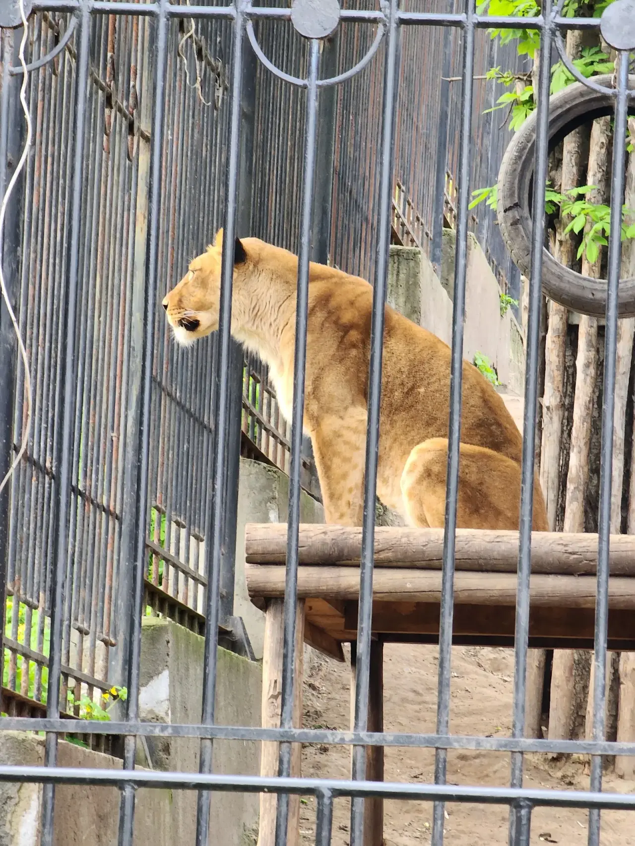 Grădina Zoologică din Chișinău (Chișinău Zoo)