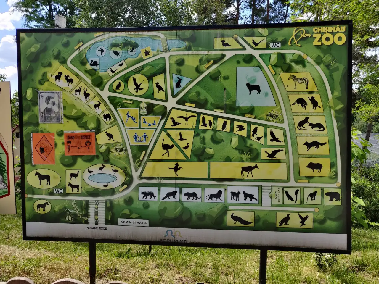 Grădina Zoologică din Chișinău (Chișinău Zoo) — fotografie 3