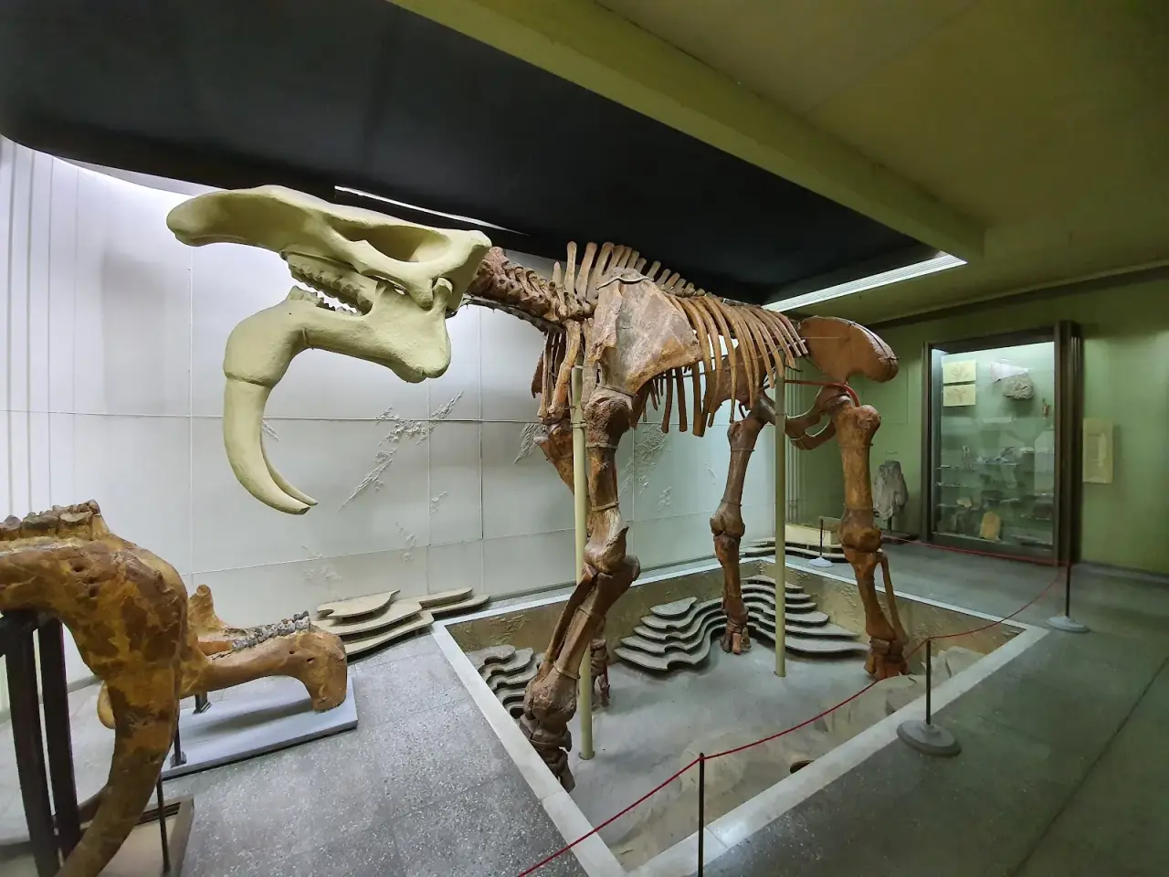Muzeul Național de Etnografie și Istorie Naturală (National Museum of Ethnography and Natural History) — fotografie 1