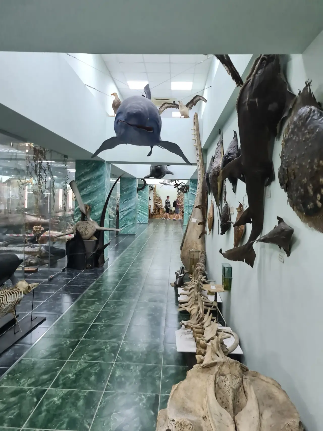 Muzeul Universității de Stat din Moldova (Moldova State University Museum) — fotografie 1