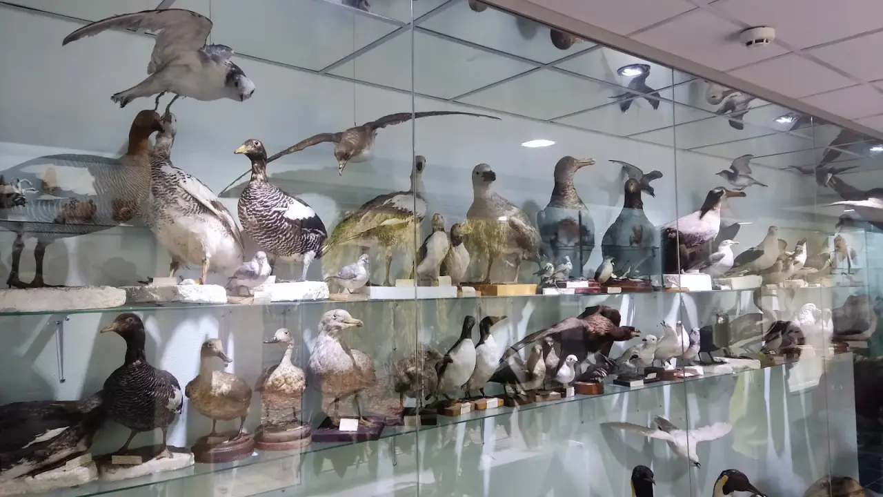 Muzeul Universității de Stat din Moldova (Moldova State University Museum) — fotografie 3