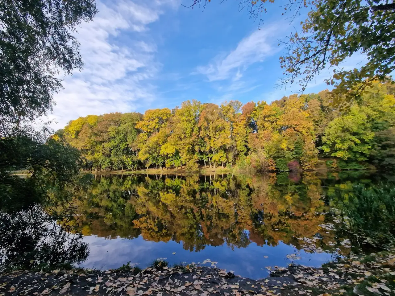 Pădurea-Parc „Râșcani” — fotografie 1