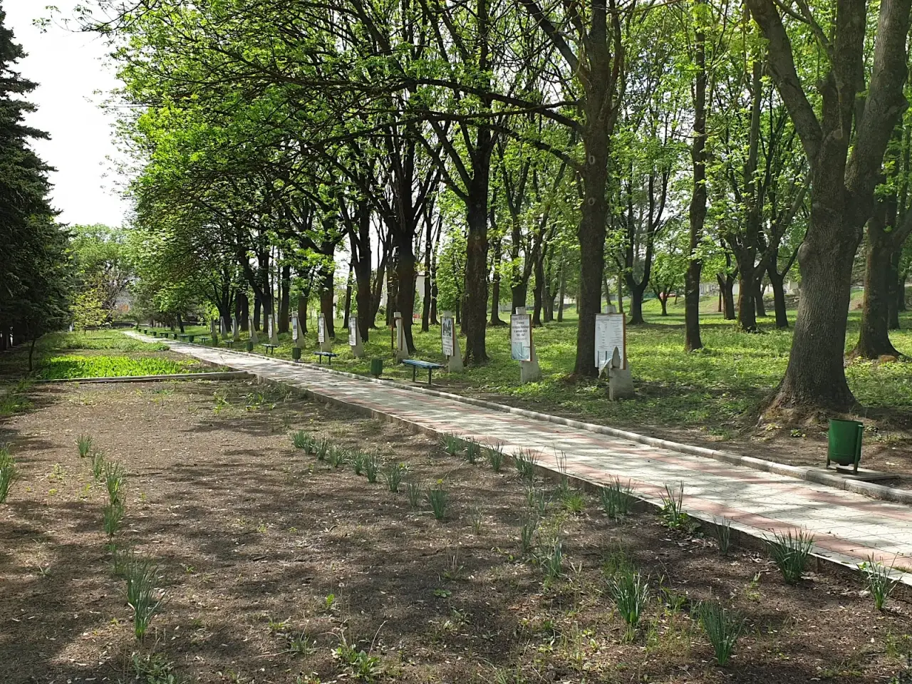 Parc Romănești — fotografie 3