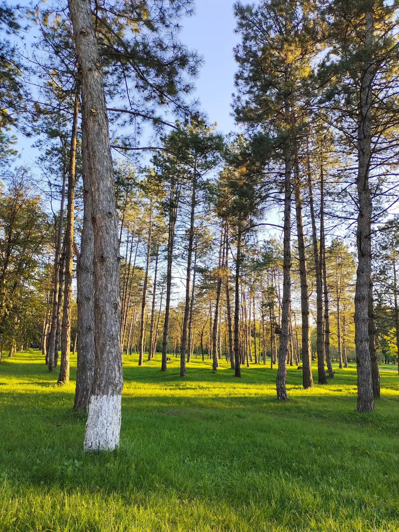 Parcul Central "Micul Cluj" — fotografie 2