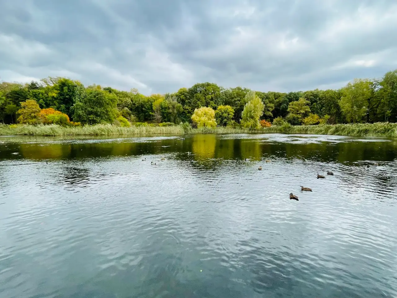Parcul „Dendrariu” — fotografie 2