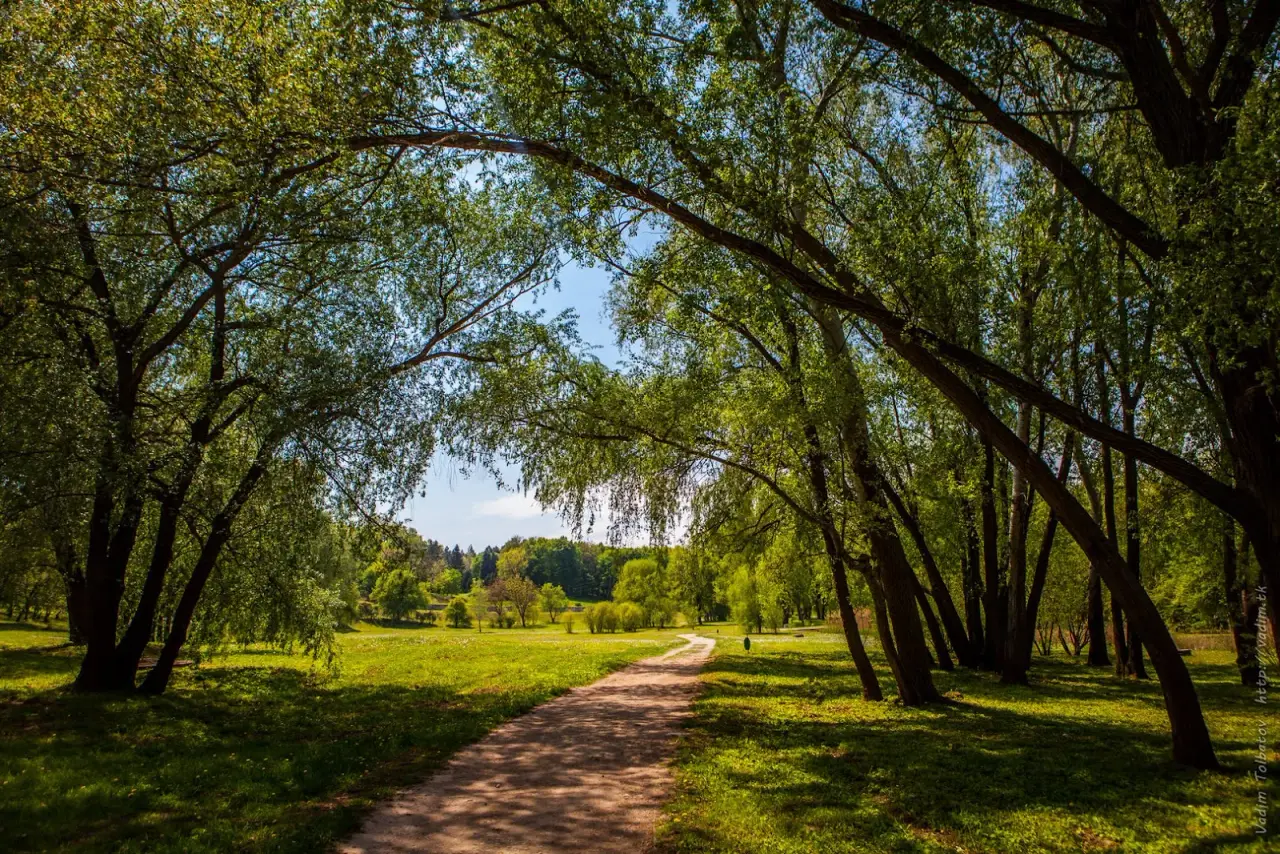 Parcul „Dendrariu” — fotografie 3
