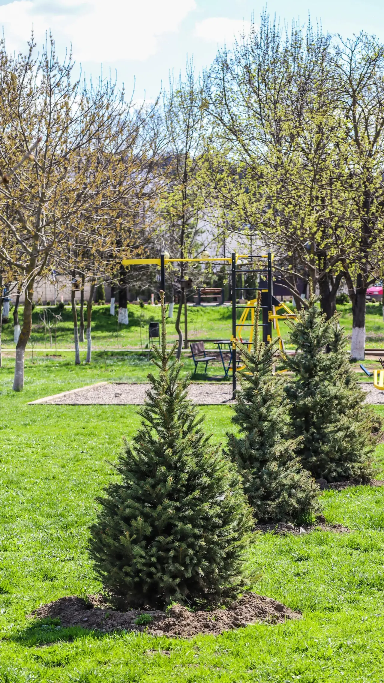 Parcul Dubasarii Vechi — fotografie 3