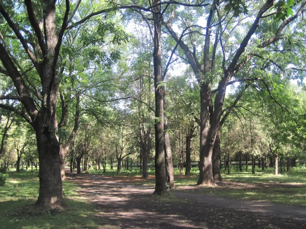 Parcul eparhial — fotografie 1