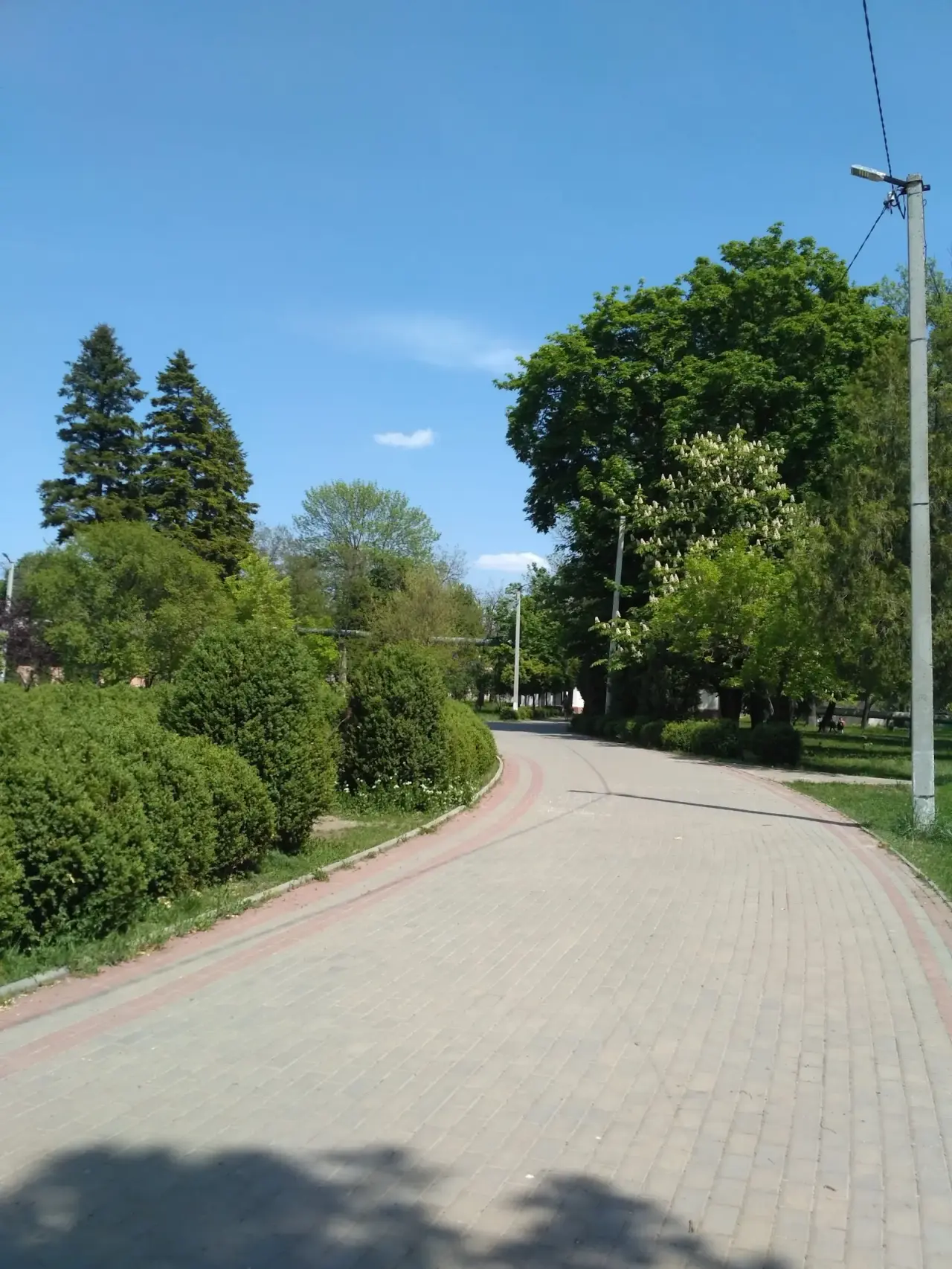 Parcul eparhial — fotografie 2