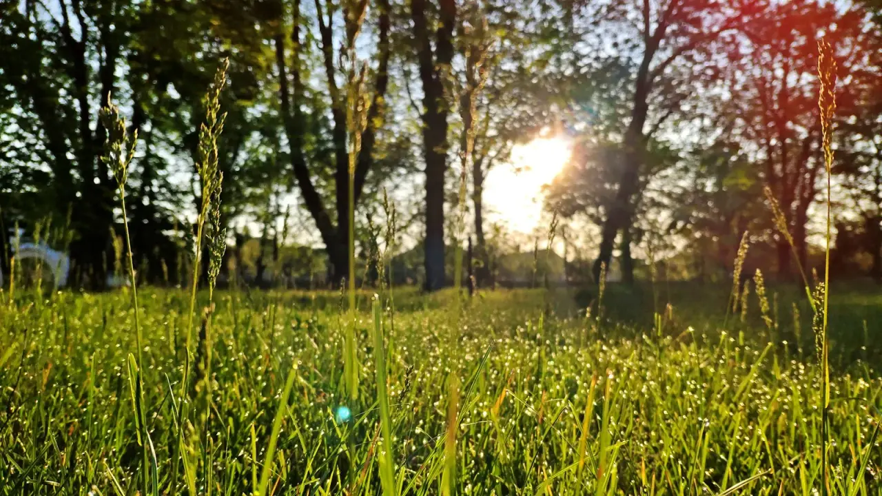 Parcul eparhial — fotografie 3