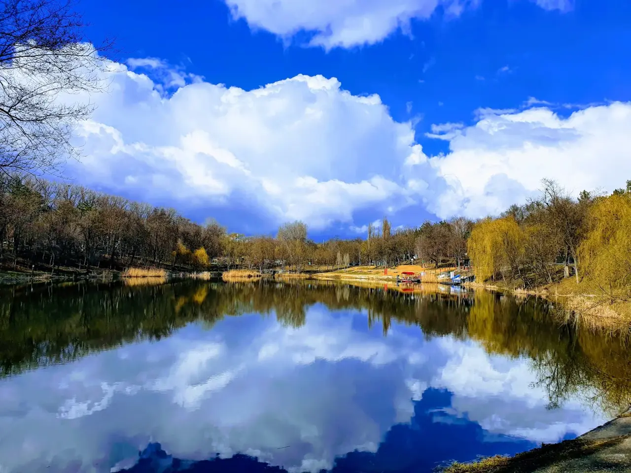 Parcul Rîșcani