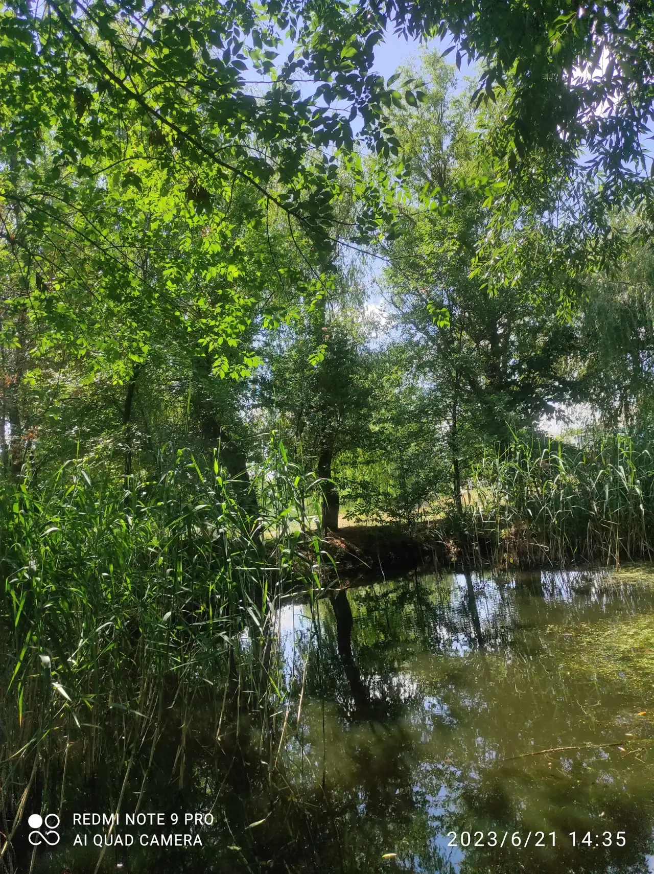 Parcul Singereii Noi — fotografie 3