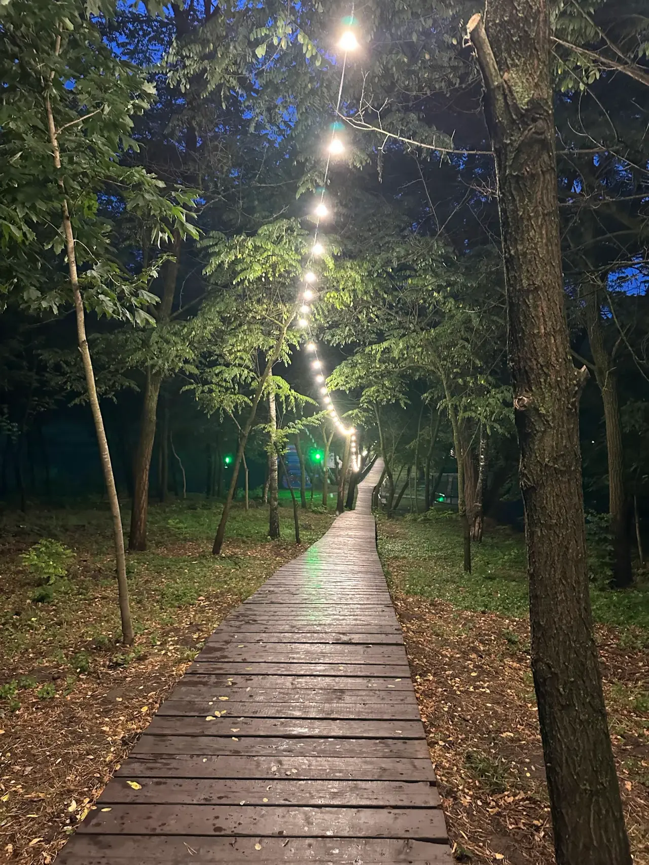 Parcul „Valea Trandafirilor” — fotografie 1