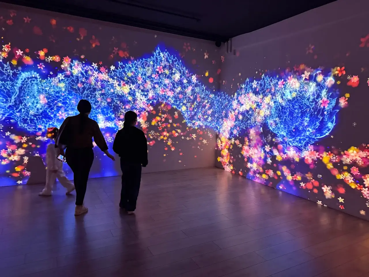 Sensorica — Immersive Experience Museum — fotografie 1