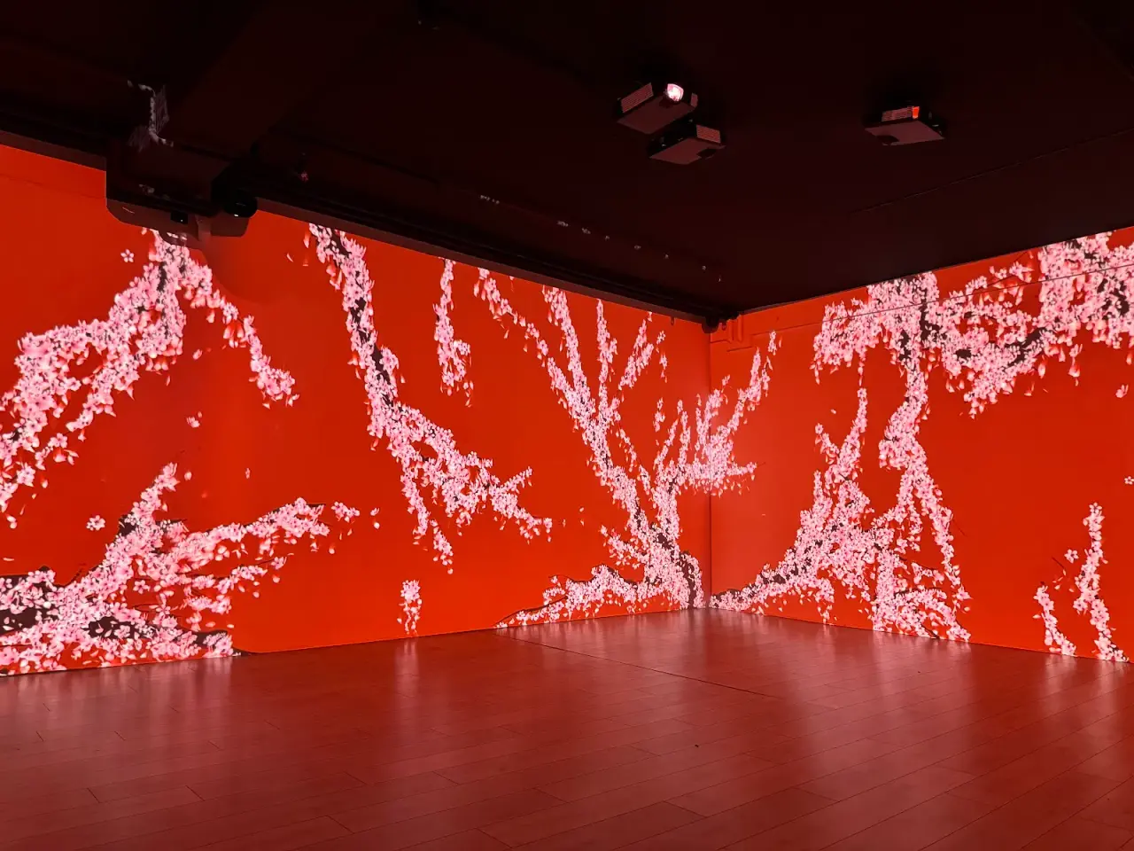 Sensorica — Immersive Experience Museum — fotografie 3