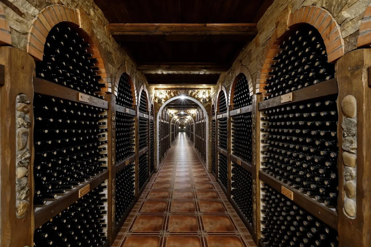 Chateau Cojusna. Migdal-P