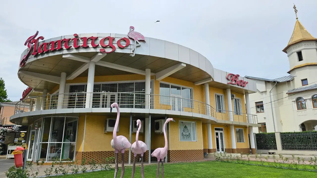 Flamingo