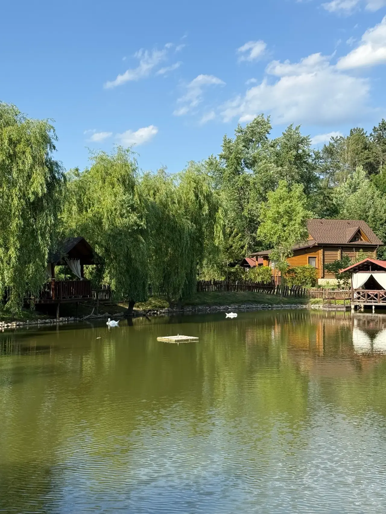 Poiana Bradului Complex Hotelier & Restaurant