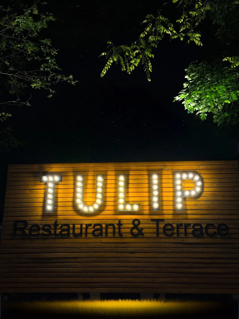 Restaurant Tulip