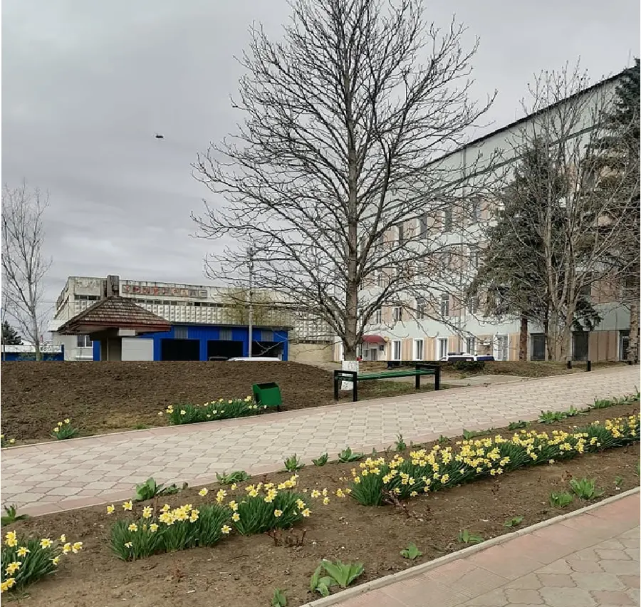 Telenești District